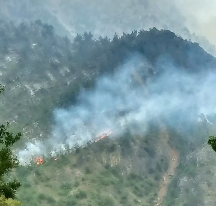 Fire ravages forests in Akkar for 3rd consecutive day L'Orient Today