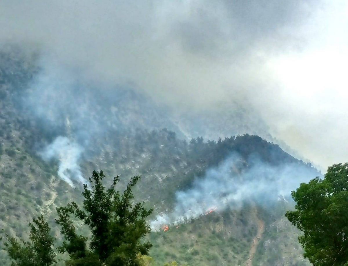 Fire rages between Akkar and Dinniyeh for the fourth consecutive day Fire rages between Akkar and Dinniyeh for the fourth consecutive day