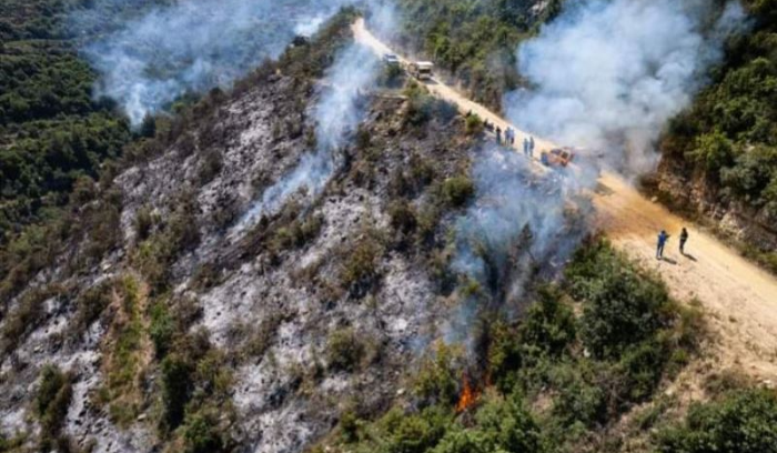 Akkar: 1.5 hectares of greenery decimated by fire