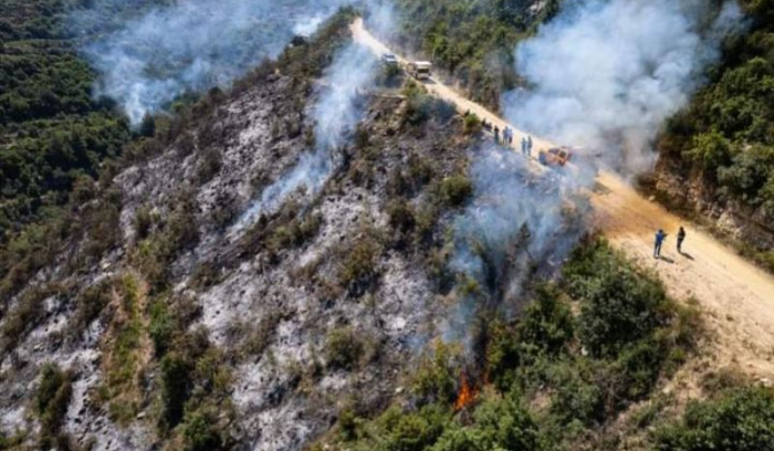Au Akkar, 1,5 hectare de verdure décimés dans un incendie