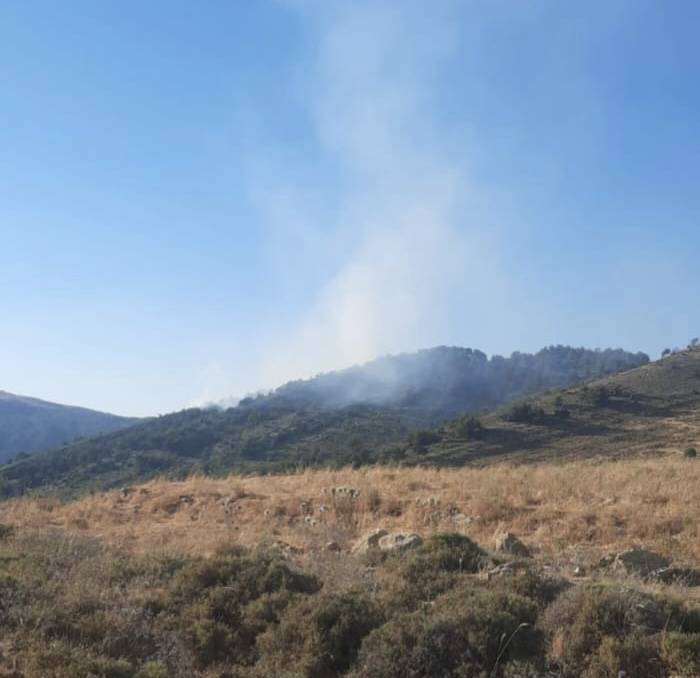 Important incendie près de Kfarhouna au Liban-Sud