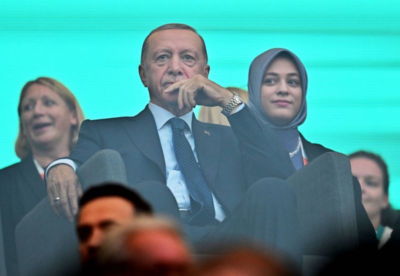 Erdogan met en cause les Casques bleus dans l'incident à Chypre