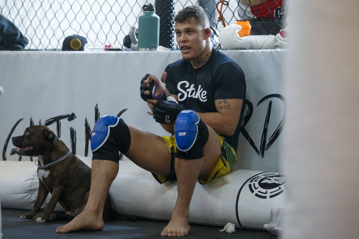 Nouveaux talents brésiliens du MMA