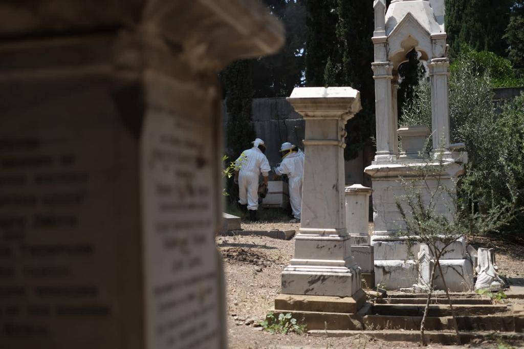Au cimetière protestant de Beyrouth, du miel et des abeilles Au cimetière protestant de Beyrouth, du miel et des abeilles