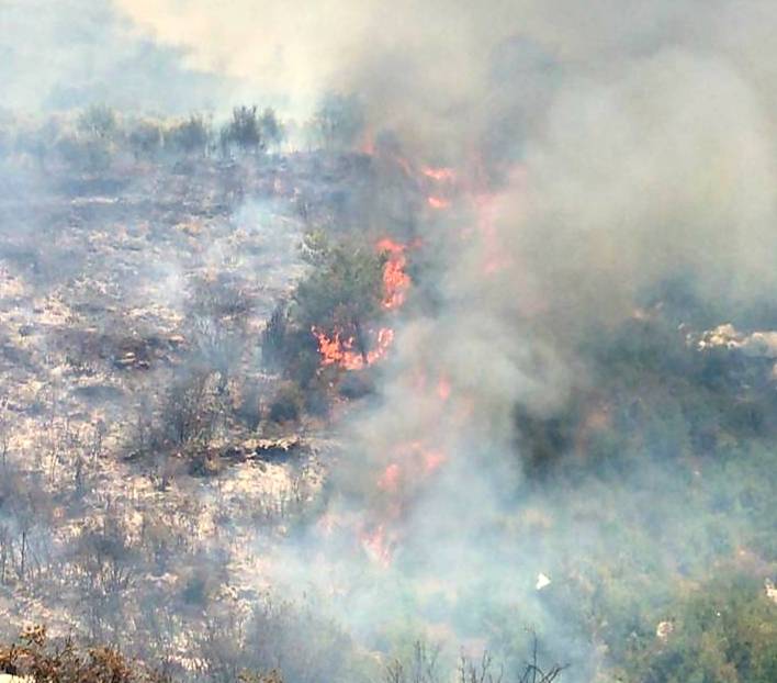 At least 8 wounded, others evacuated as Akkar wildfire approches homes