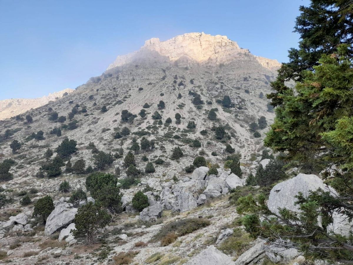 Au Akkar, le crime environnemental paie