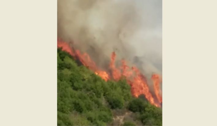 Wildfire burns across brush in Chouf village