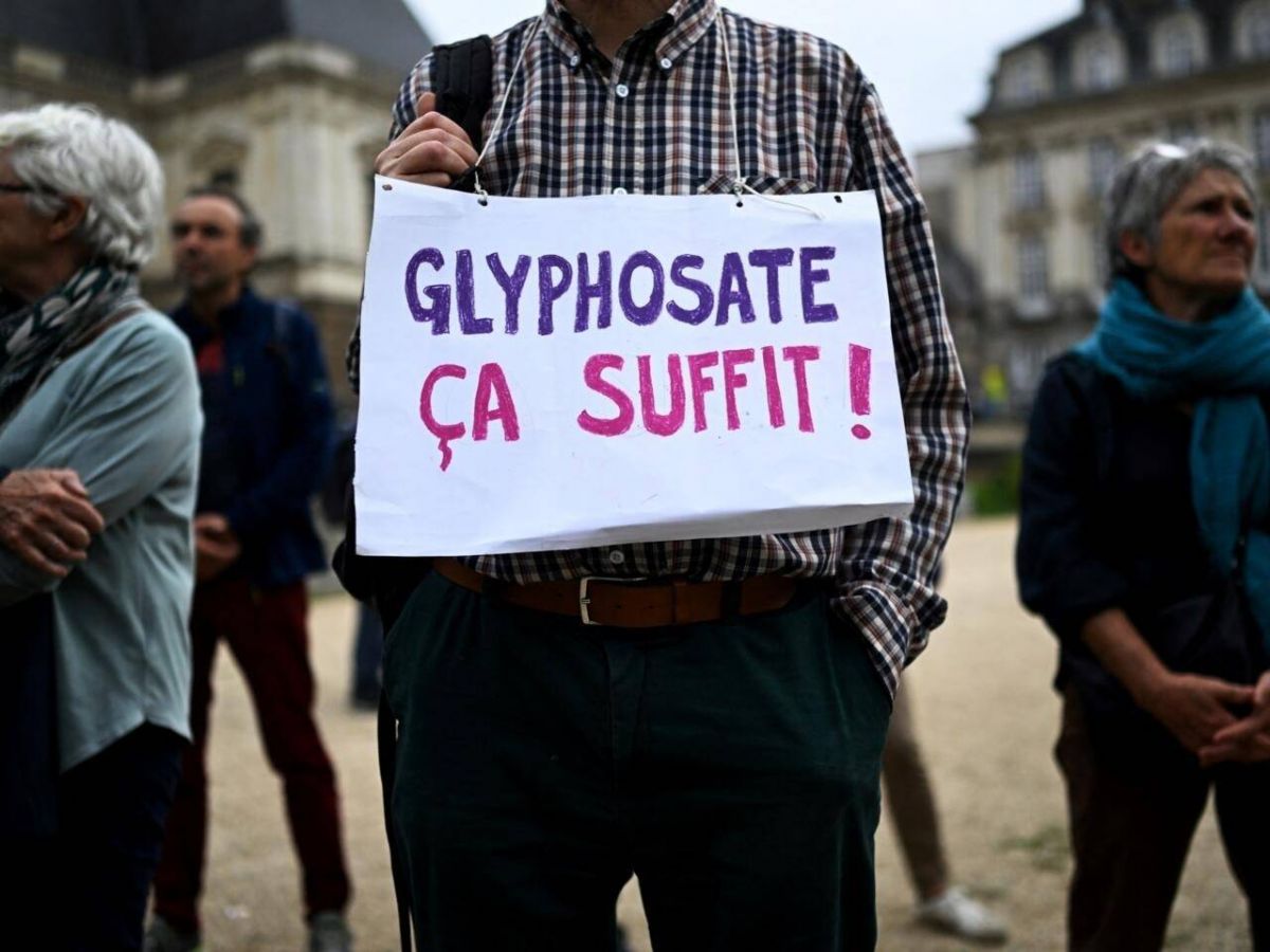 La Commission européenne va renouveler l'autorisation du glyphosate dans l'UE pour 10 ans