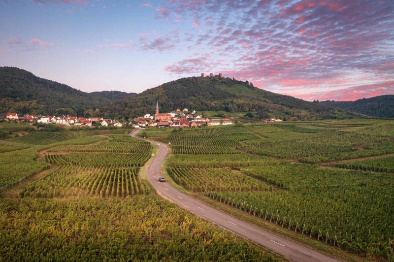En Alsace, la Route des vins fête ses 70 ans