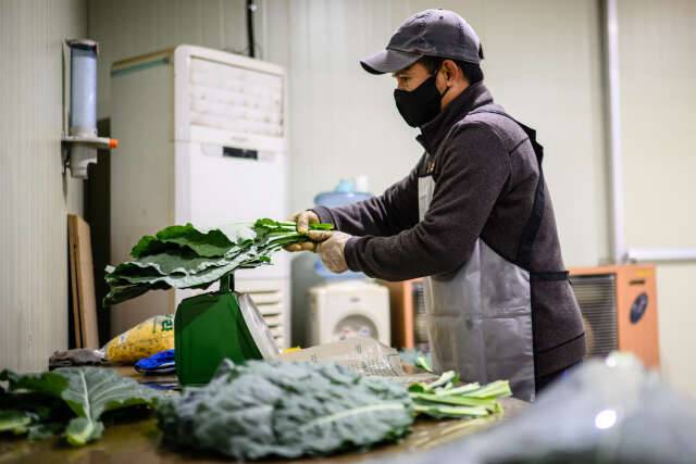 L'intelligence artificielle menace des millions d'emplois en Corée du Sud