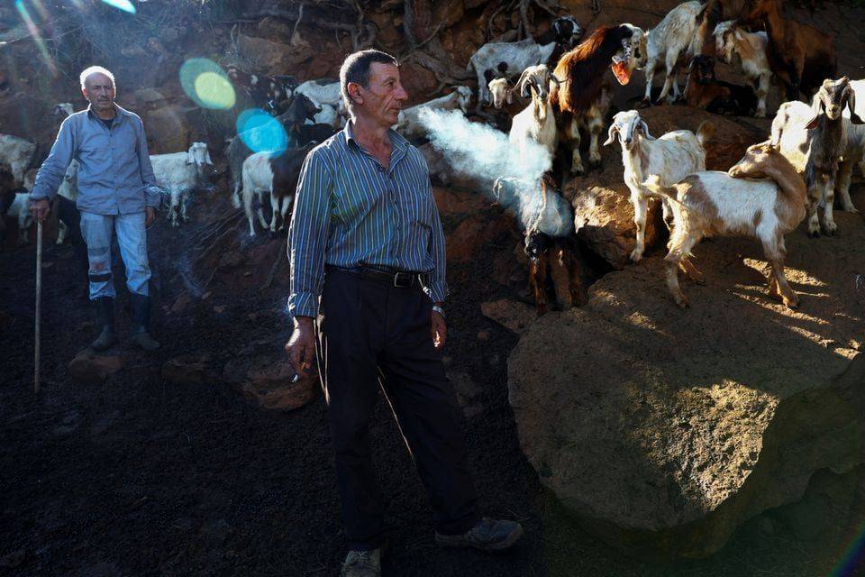 Shepherds face risk and ruin from cross-border hostilities Shepherds face risk and ruin from cross-border hostilities