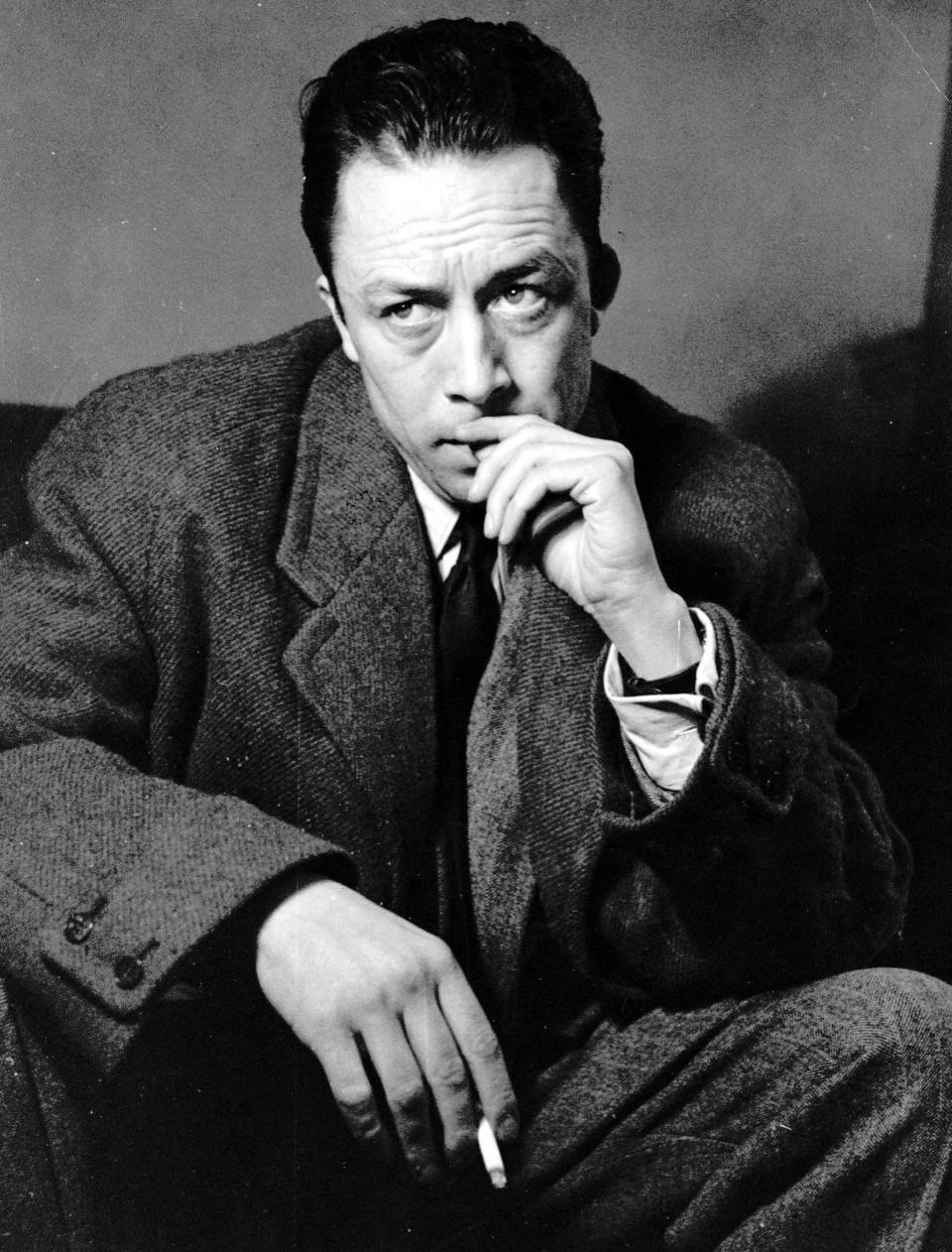 Amoureux de Camus, postérité d’une œuvre sensible - L'Orient-Le Jour