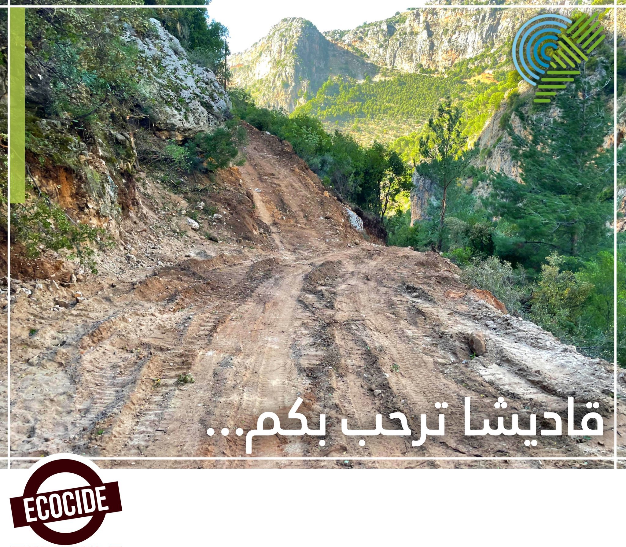 Fiber de carbone pluie sourcil visite garde de Liban