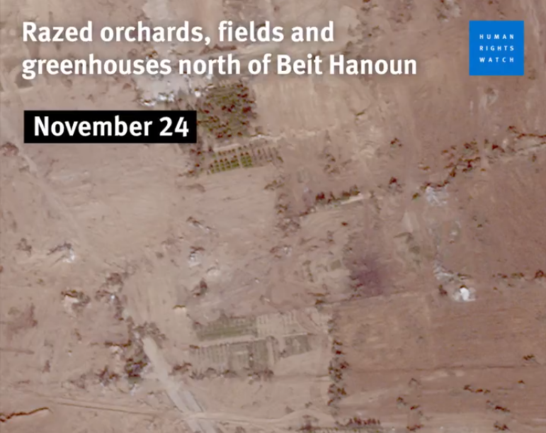 HRW publie des images satellite montrant la destruction des terres agricoles dans Gaza
