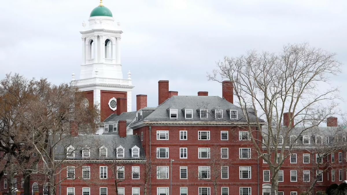 Harvard suggère de dollariser totalement l’économie libanaise