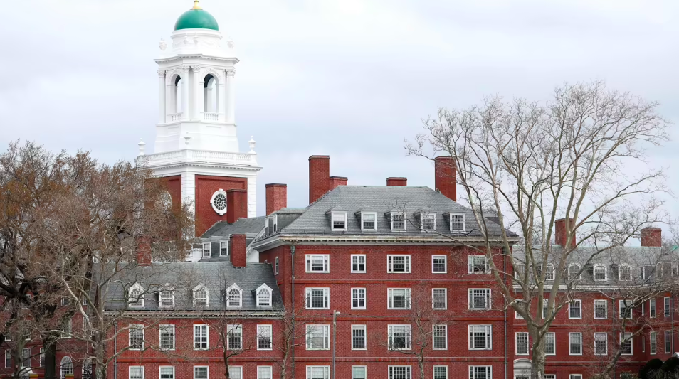 Harvard suggests entirely dollarizing Lebanese economy Harvard suggests entirely dollarizing Lebanese economy