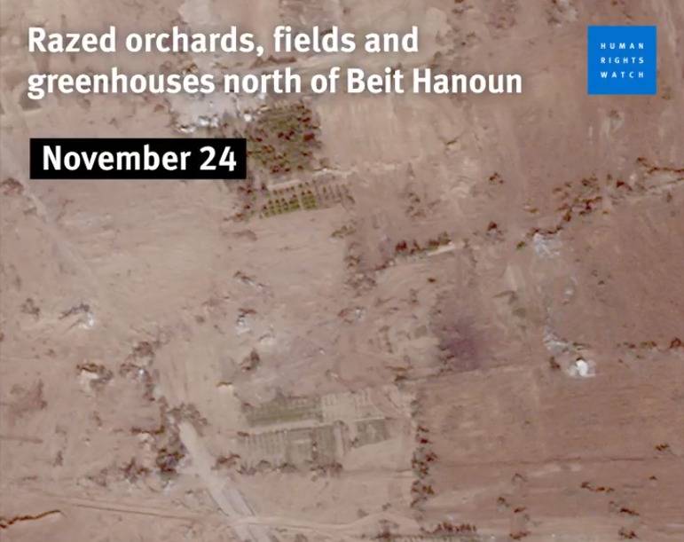 Israeli army bulldozed agricultural land during truce, HRW reports Israeli army bulldozed agricultural land during truce, HRW reports