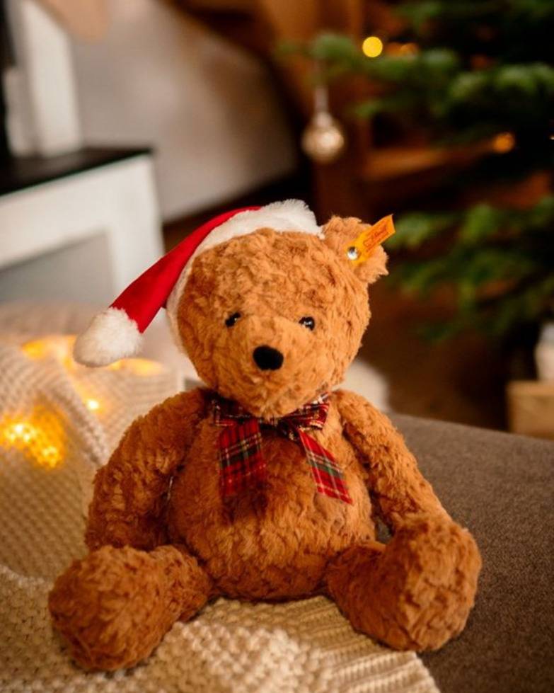 L'histoire de Teddy Bear, l’ours le plus célèbre au monde 