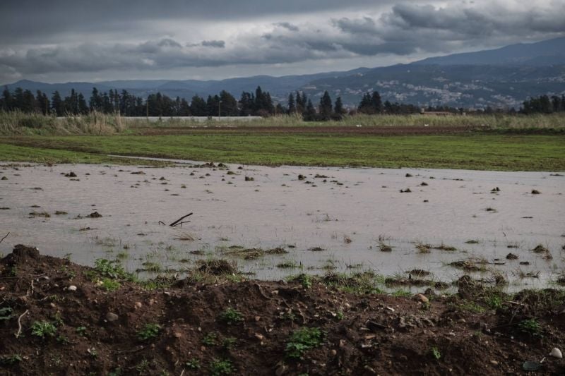Intempéries au Liban : « Tous les agriculteurs ici ont perdu 80 à 100 % de leurs récoltes »