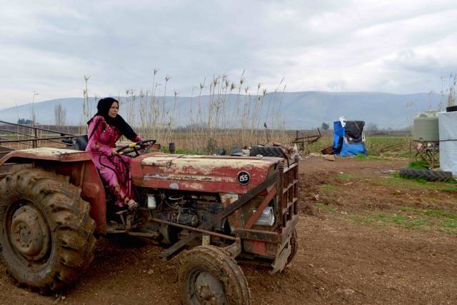 « Batata » :  les relations Liban-Syrie illustrées par la pomme de terre