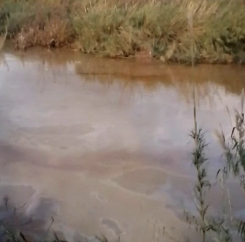 Oil floods farmland in Akkar following leak