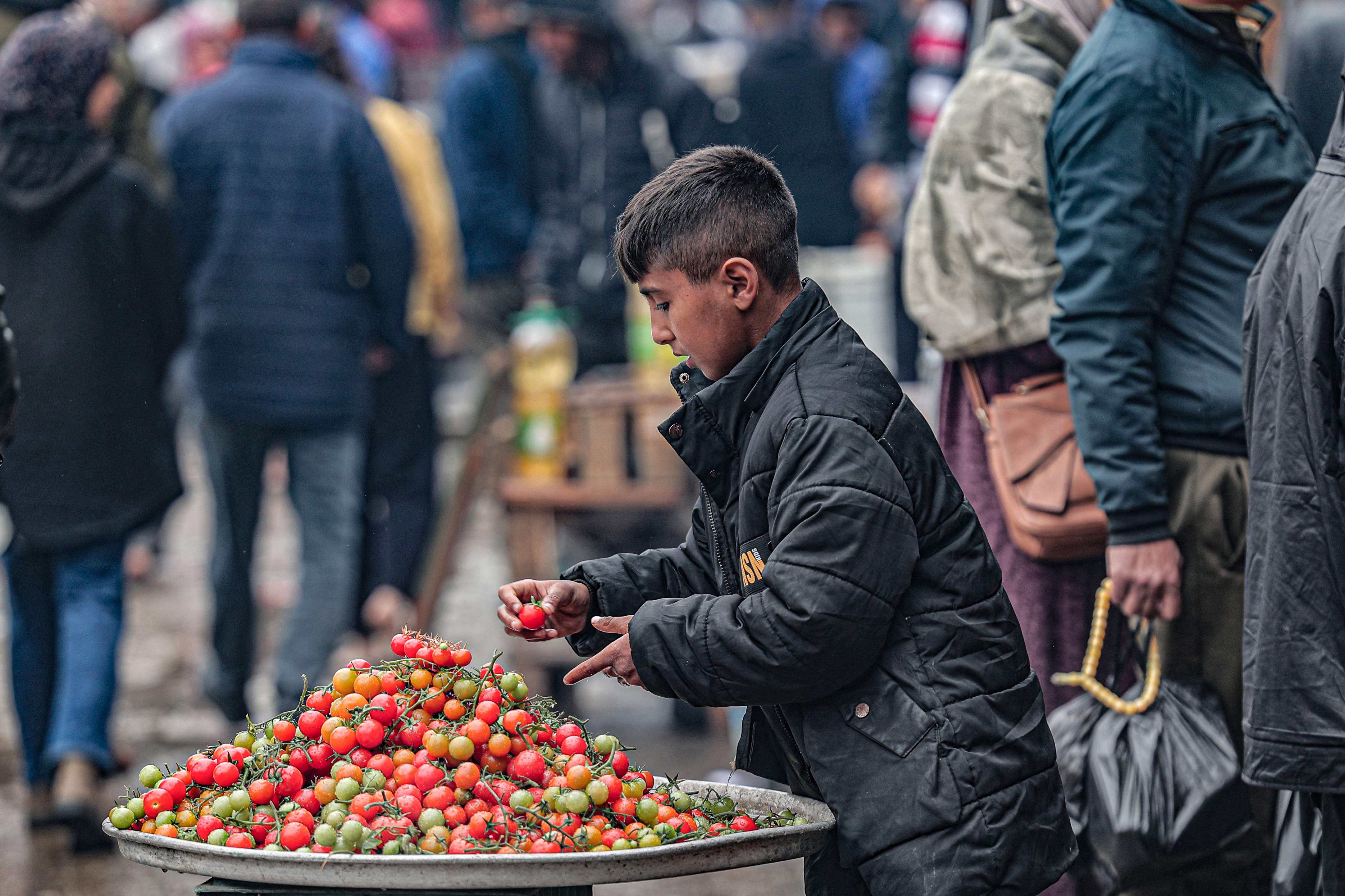 Un jeune garçon palestinien vend des tomates cerises sur un marché dans la ville de Rafah, le 18 février 2024 (Photo Said KHATIB / AFP)