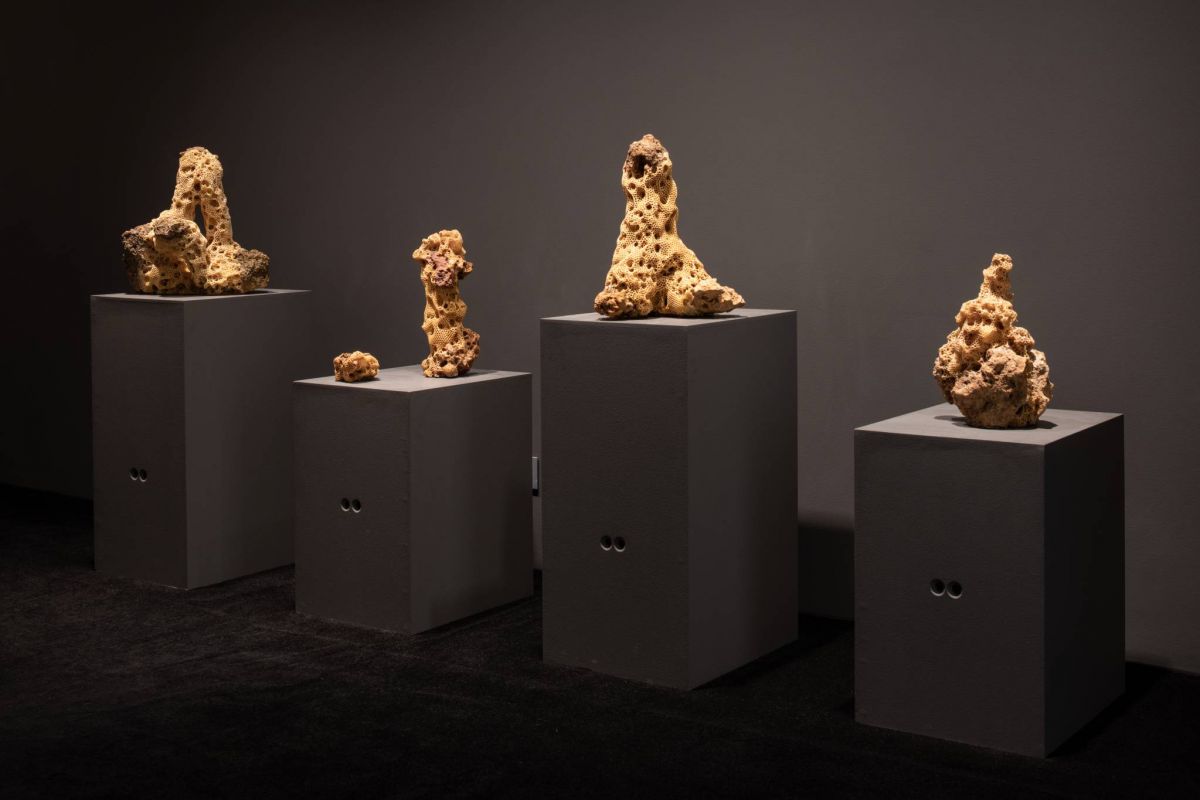 Charbel Samuel Aoun, ses pierres, ses abeilles, son art au musée Sursock Charbel Samuel Aoun, ses pierres, ses abeilles, son art au musée Sursock
