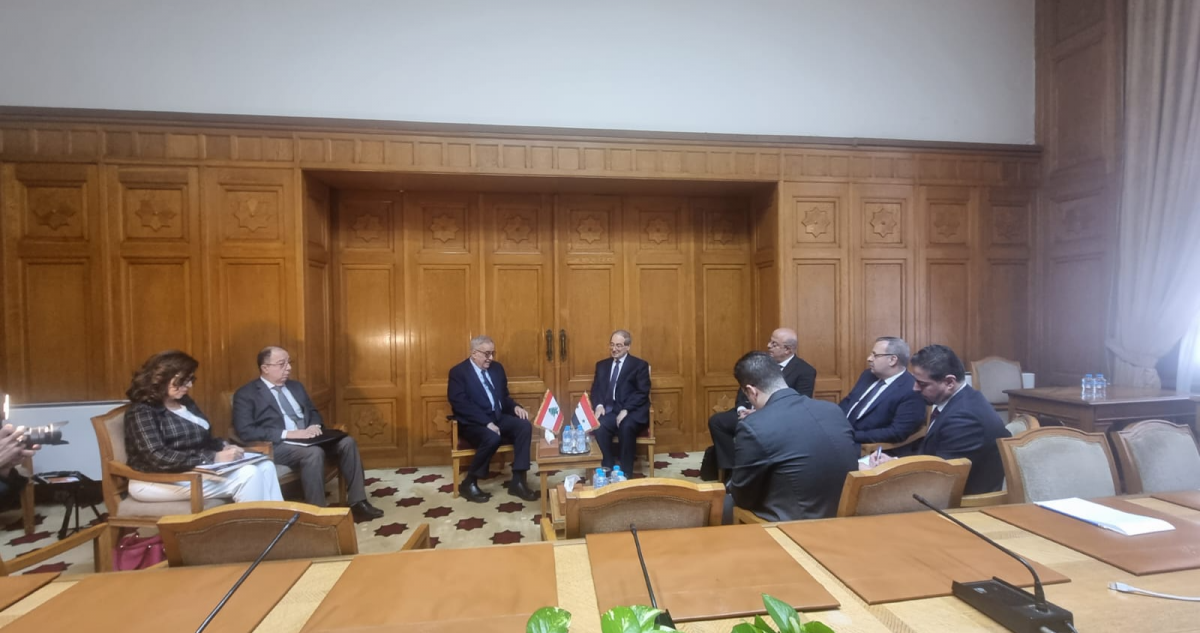 Bou Habib presents 'Lebanon's vision' for achieving calm on the southern border Bou Habib presents 'Lebanon's vision' for achieving calm on the southern border