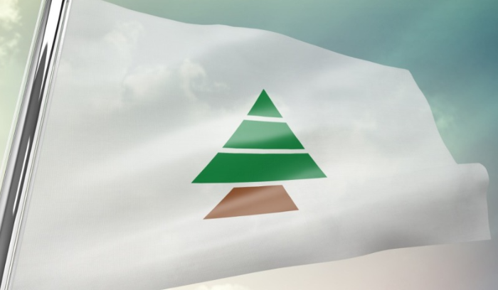 Kataeb party calls for conditions in accepting 'foreign proposals' for peace in south Lebanon