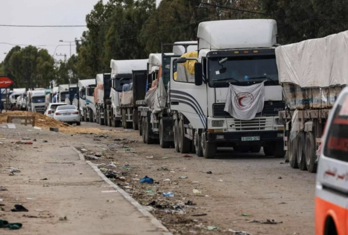The 'flour massacre': How humanitarian convoys work in Gaza