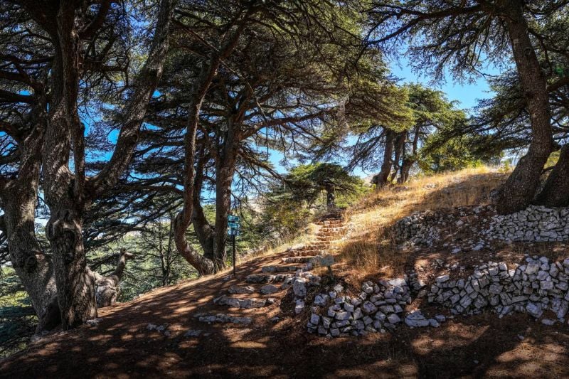 Accès gratuit aux réserves naturelles du Liban le dimanche 10 mars