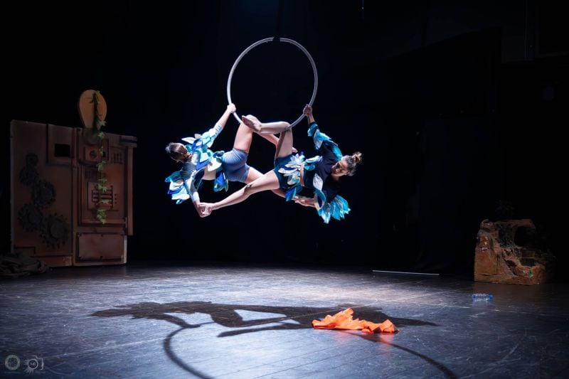 « Nature’s Last Dance », le dernier projet jeunesse psycho-social de Cirquenciel