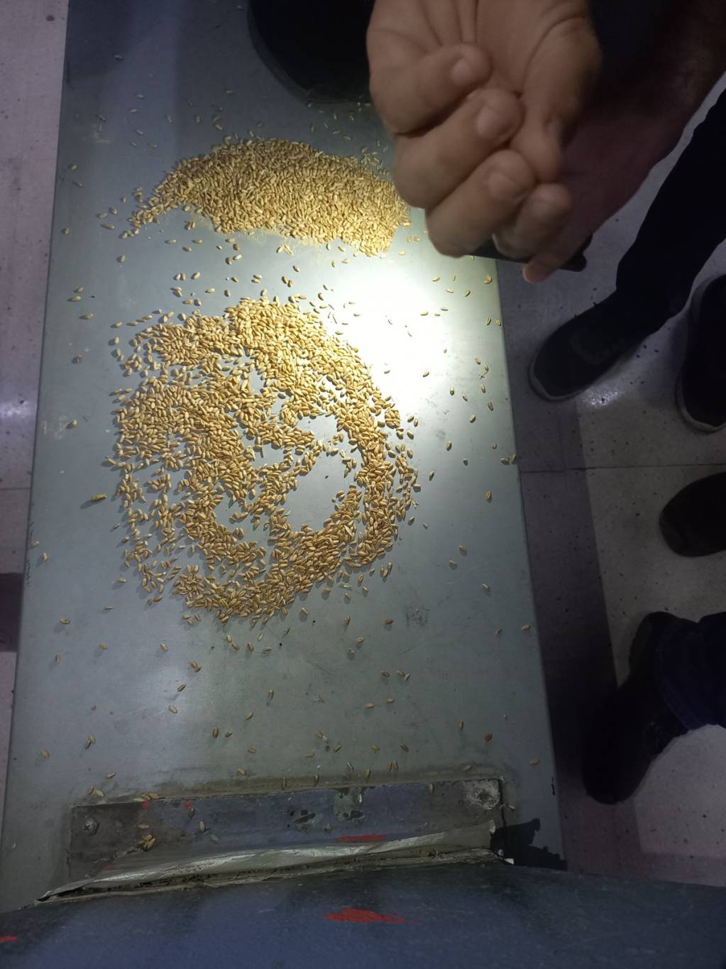 La mésaventure d'une cargaison de blé ukrainien importée au Liban La mésaventure d'une cargaison de blé ukrainien importée au Liban