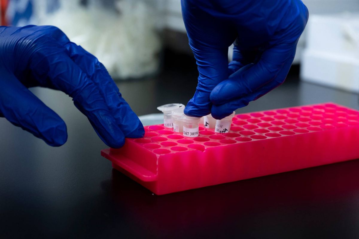 La vie d’avant et d’après de patients souffrant de drépanocytose La vie d’avant et d’après de patients souffrant de drépanocytose