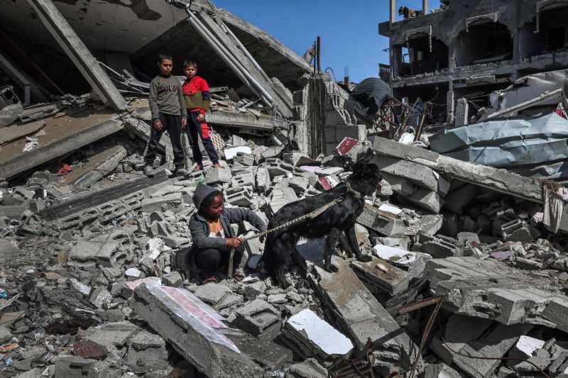 Plus de 121 000 logements détruits dans l'offensive israélienne à Gaza