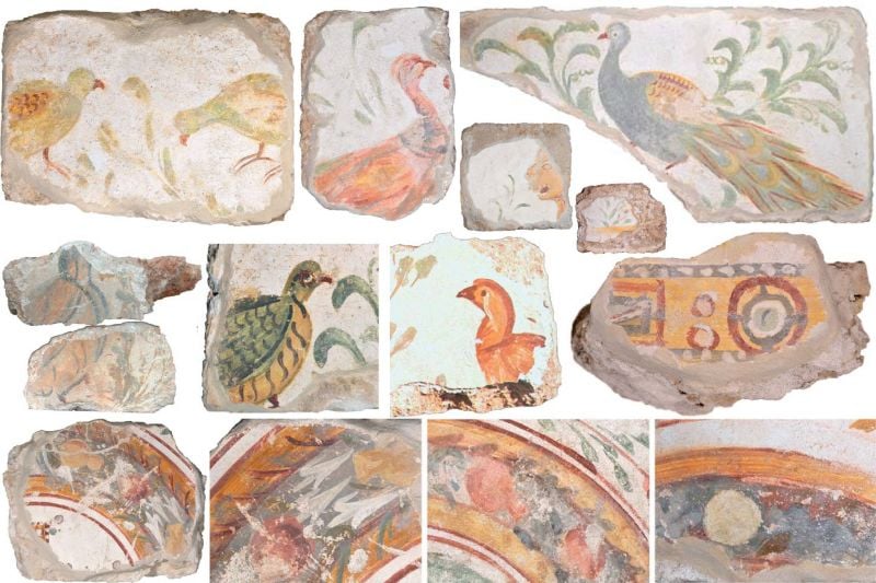 Les peintures paléochrétiennes de Jiyé (Porphyreon) dévoilées pour la première fois