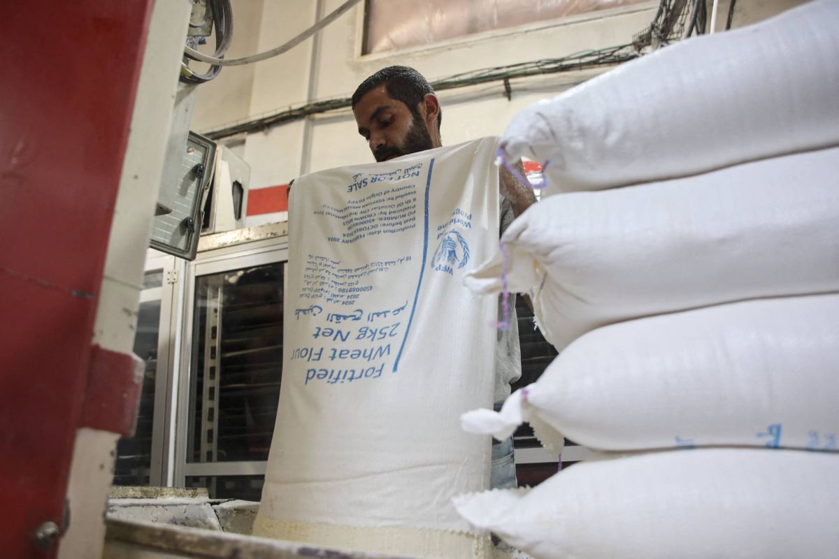 G7 vows to work to deliver more aid to Gaza