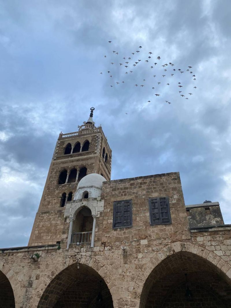 Journée de commémoration ce 26 avril à Tripoli : les Mamelouks à l’honneur