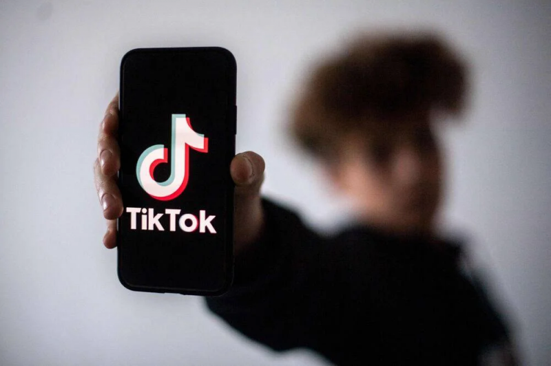 What is the 'dark web,' allegedly used by a TikTok pedophile gang arrested in Lebanon?