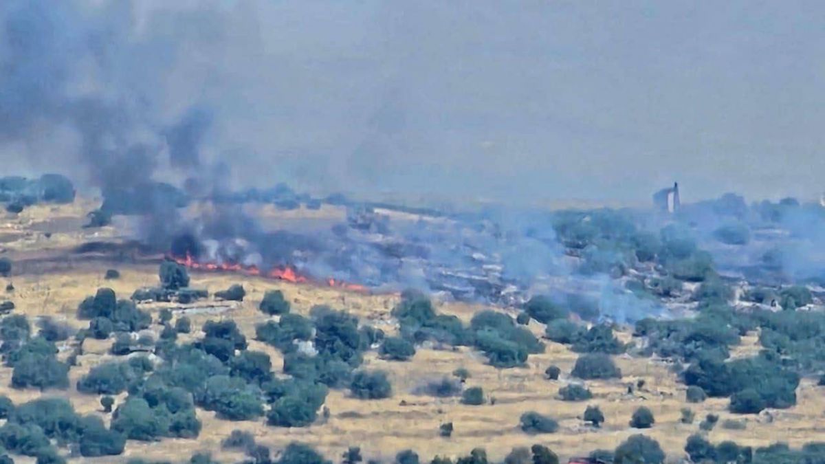 Israeli strikes kill at least 7, including Hezbollah member, in south Lebanon