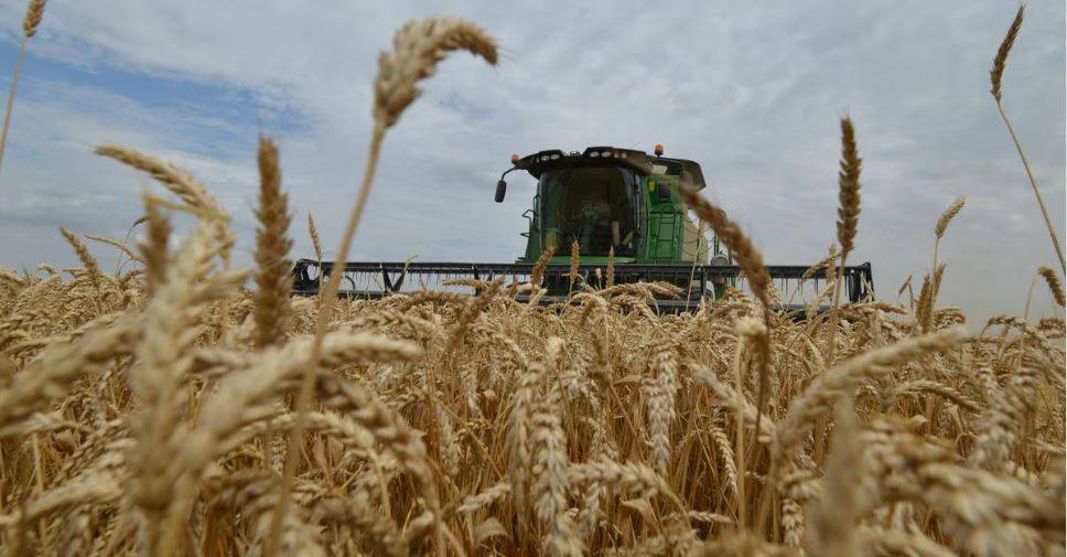 Feu vert des 27 pour taxer les céréales russes importées dans l'UE