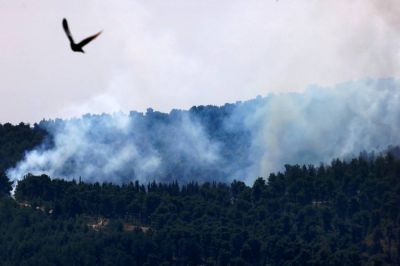 Firefighters on either side of the Blue Line struggle to tame the flames