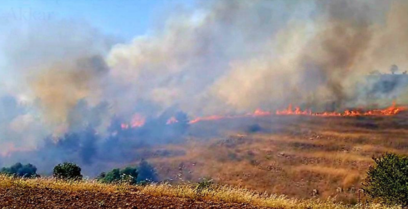Major bushfire in Akkar, homes evacuated, olive groves ablaze