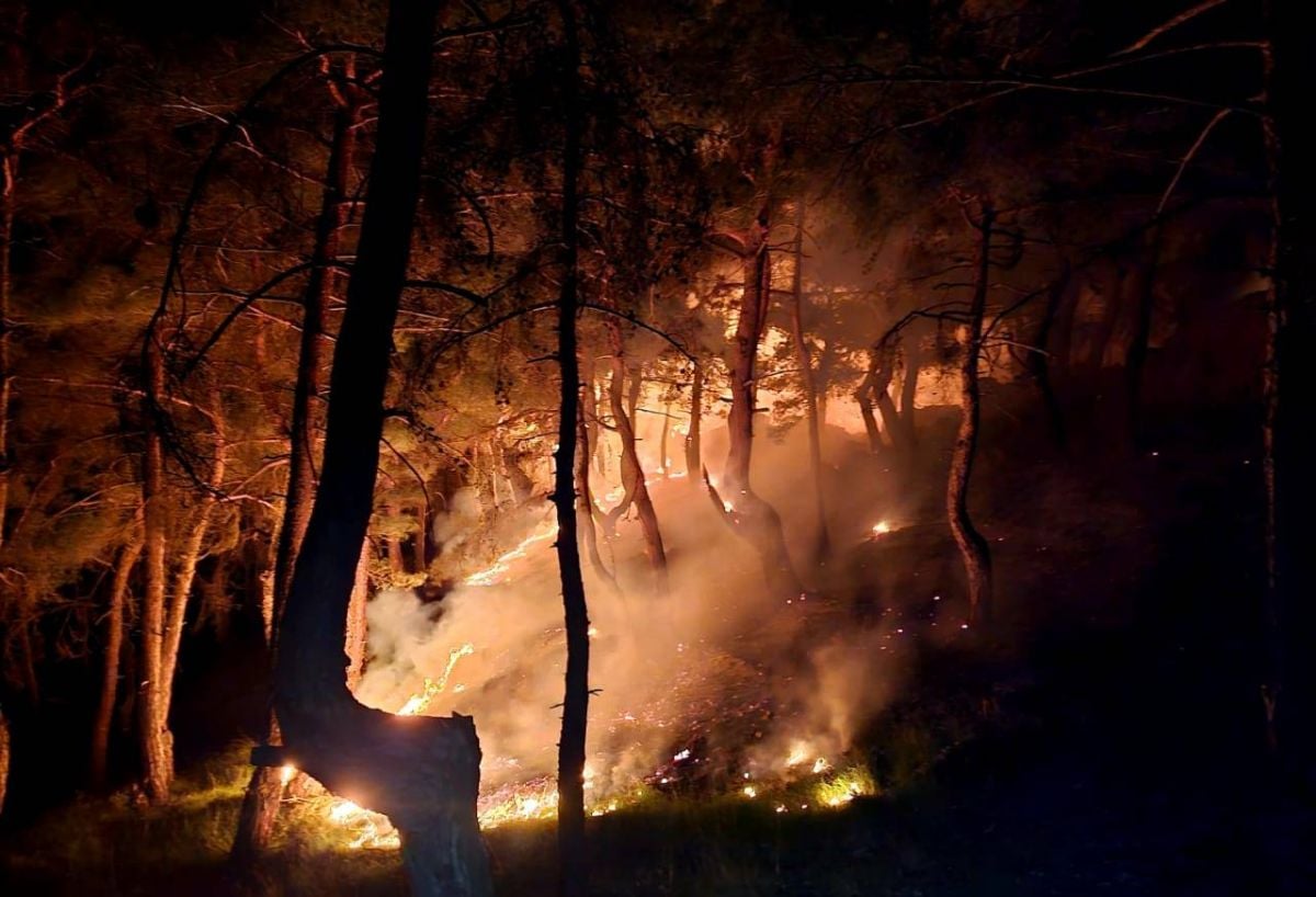 Akkar blaze brought under control overnight reignites