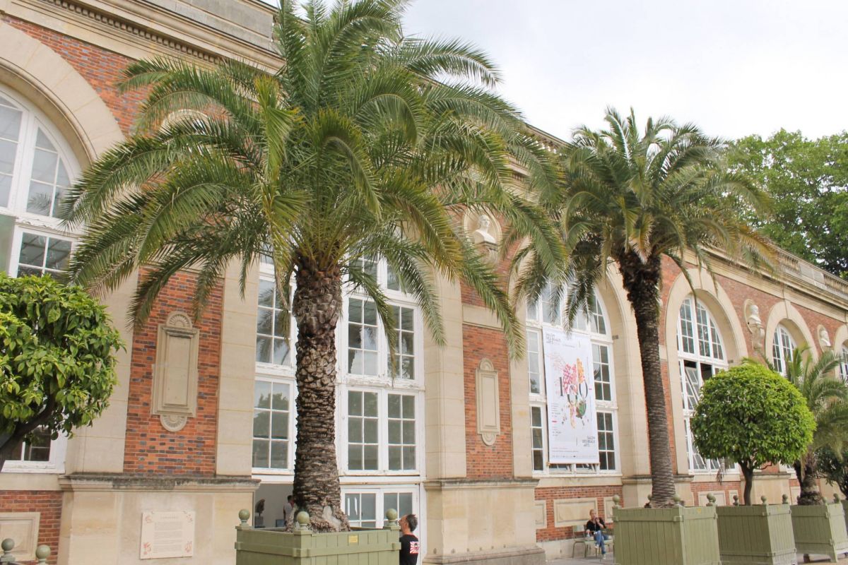 À Paris, lever de voile sur l'art émergent émirati À Paris, lever de voile sur l'art émergent émirati