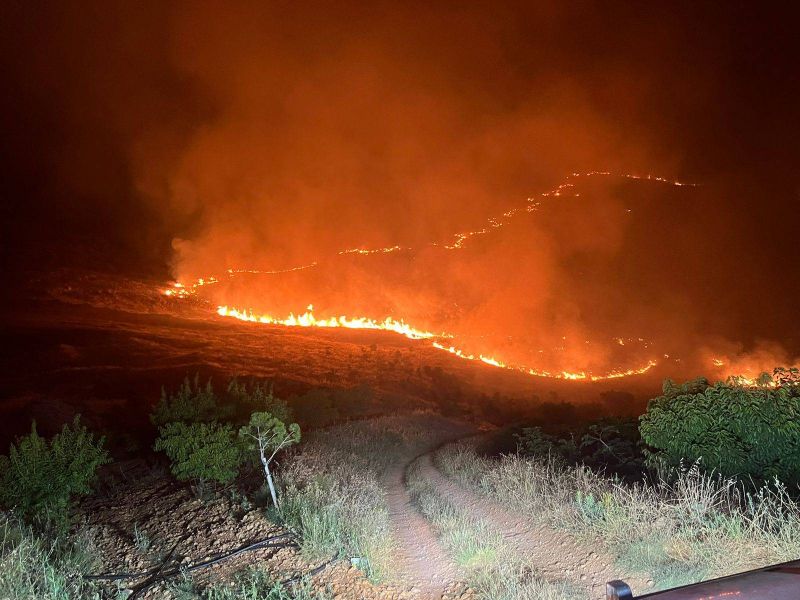 Un incendie à Ferzol, dans la Békaa, ravage 10 hectares d'arbres fruitiers