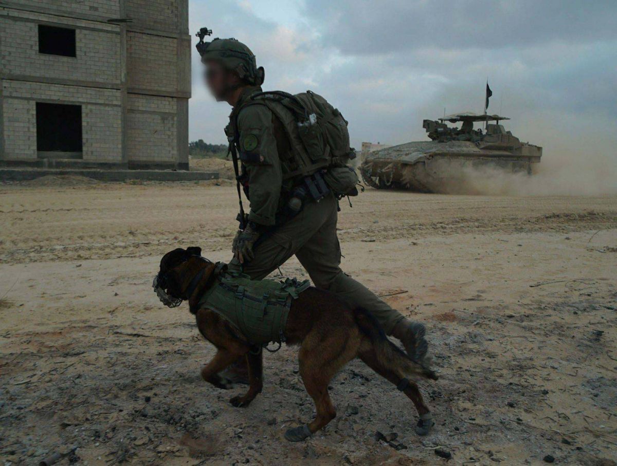 La vidéo d’une Gazaouie attaquée par un chien militaire israélien suscite l’indignation