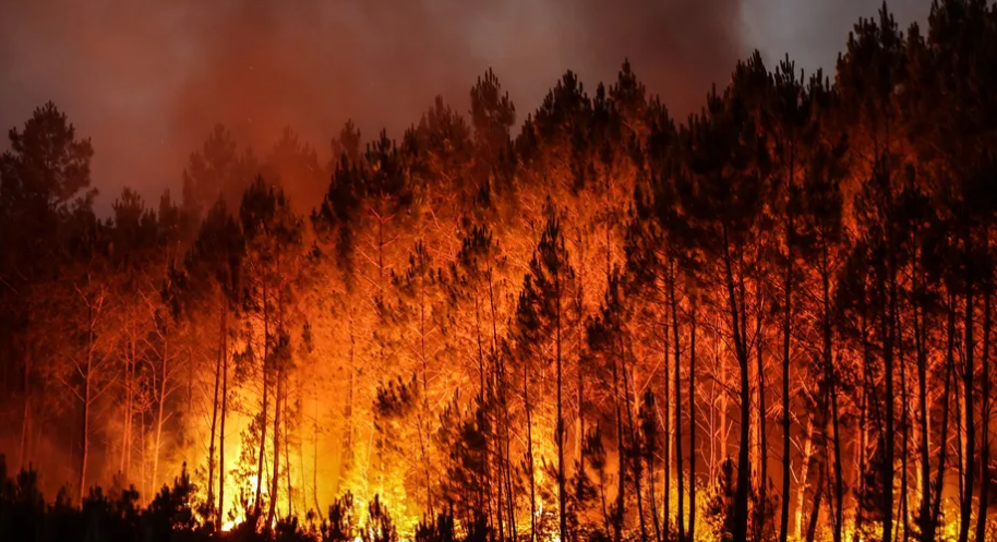 Les feux de forêt extrêmes ont doublé depuis 20 ans dans le monde Les feux de forêt extrêmes ont doublé depuis 20 ans dans le monde