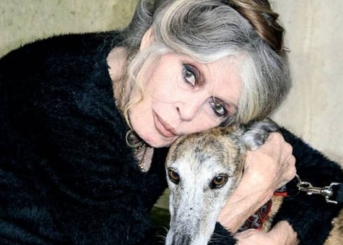 Brigitte Bardot à « L’OLJ » : J’ai failli mourir au Liban