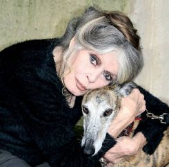 Pour le combat de sa vie, Brigitte Bardot a vendu tous ses biens. Photo AFP